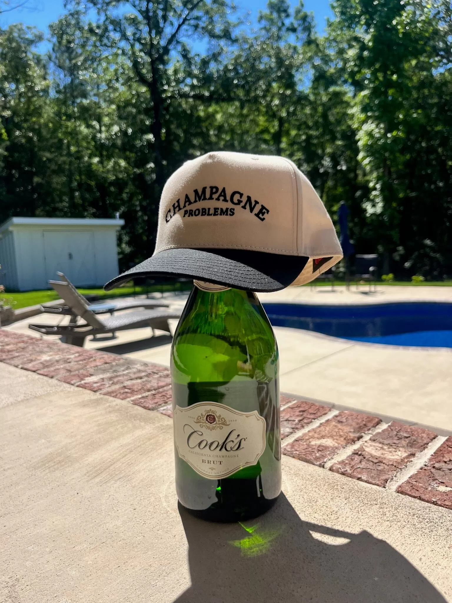 Champagne Problems Trucker Hat