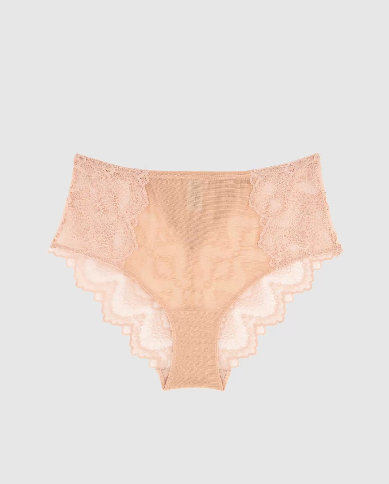 Lace Mesh Highwaist Briefs Nude